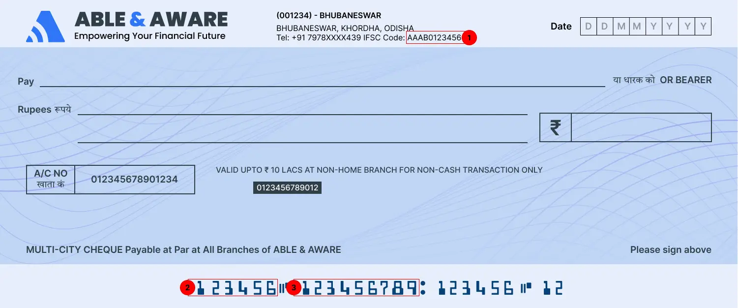 Demo cheque example